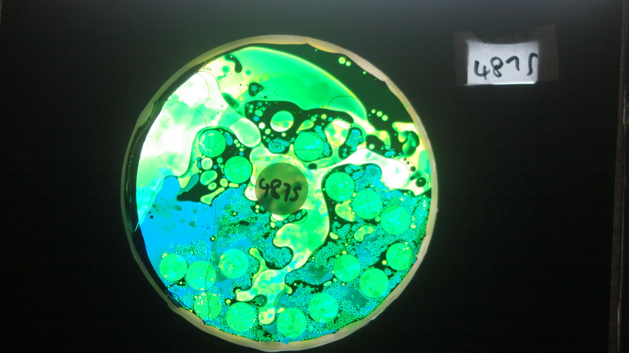 BV4875 bubble vision oil wheel